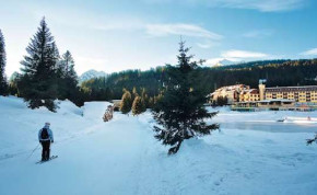 Ski Chalets in Madonna Di Campiglio